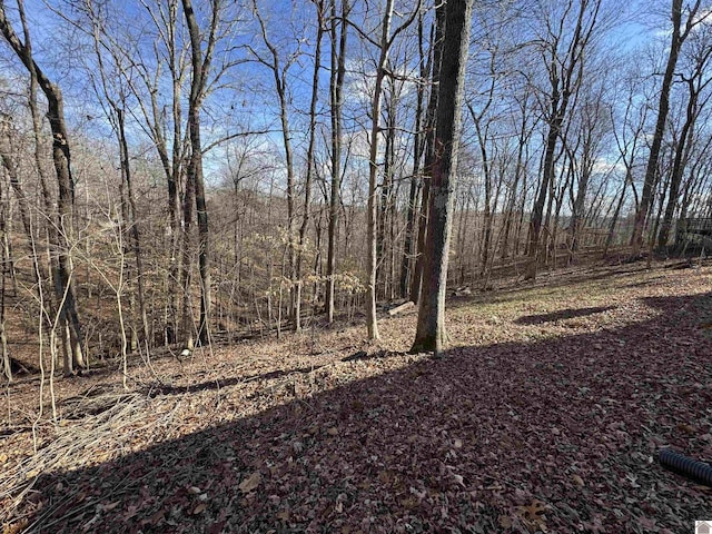 view of local wilderness