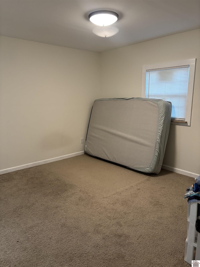 unfurnished room featuring carpet floors