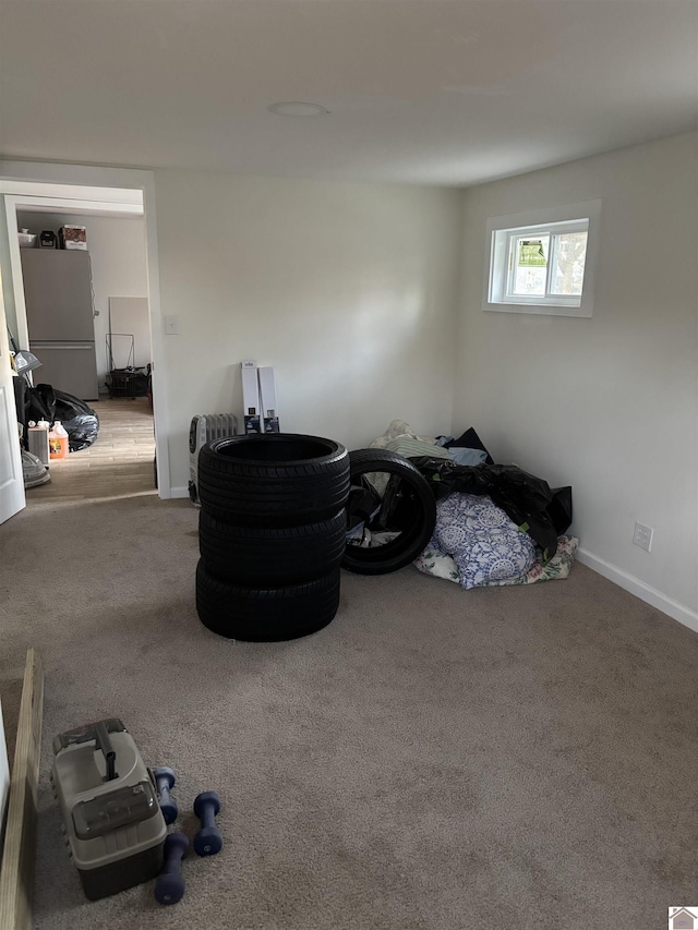 sitting room featuring carpet floors