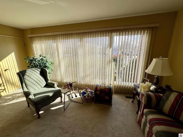 living area with carpet floors