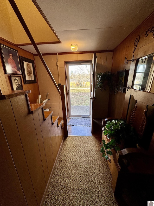 entryway featuring carpet flooring and wooden walls