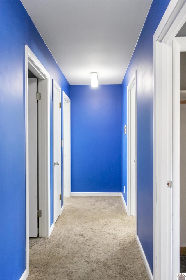 corridor with light carpet