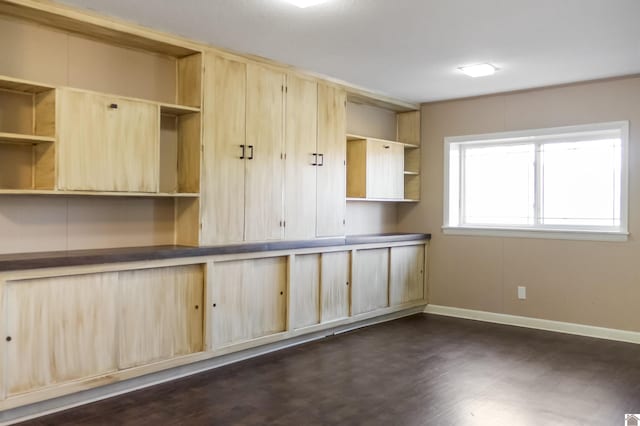 kitchen with light brown cabinets and dark hardwood / wood-style floors