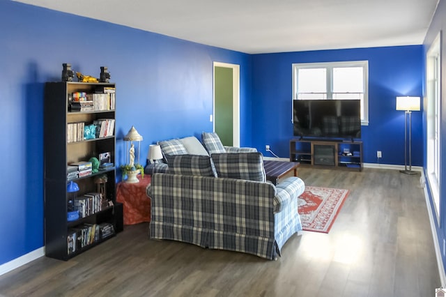 living room featuring dark hardwood / wood-style flooring