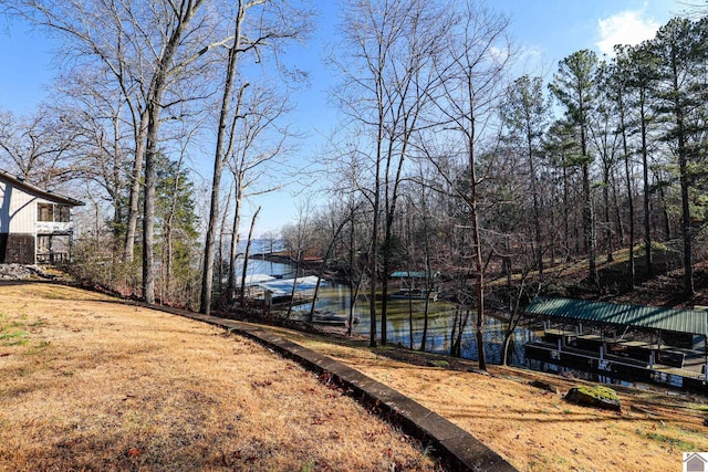 view of yard with a water view