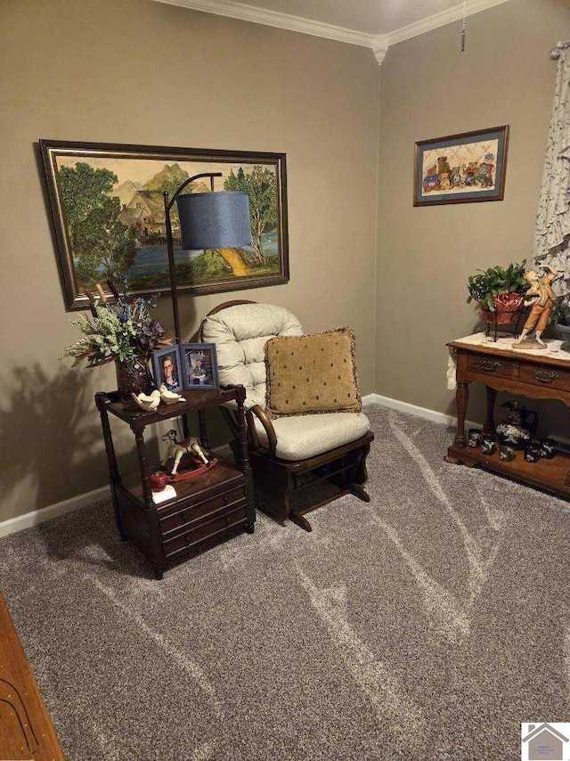 sitting room with crown molding and carpet floors