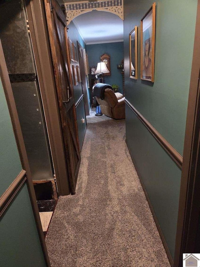 corridor with crown molding and carpet floors