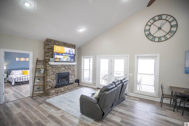 living room with a fireplace, hardwood / wood-style flooring, and plenty of natural light