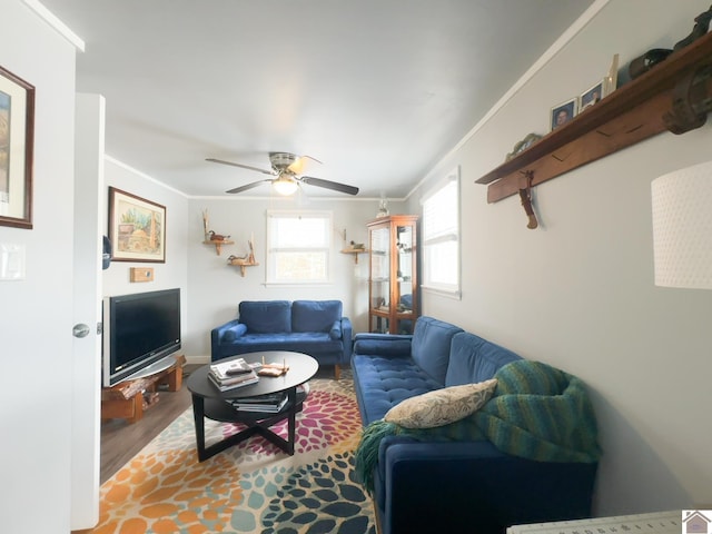 living room with ceiling fan and ornamental molding