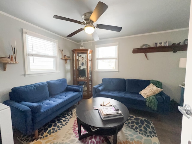 living room with ceiling fan and crown molding