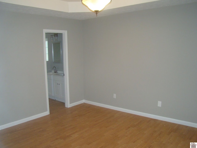 unfurnished room featuring light wood-type flooring and sink