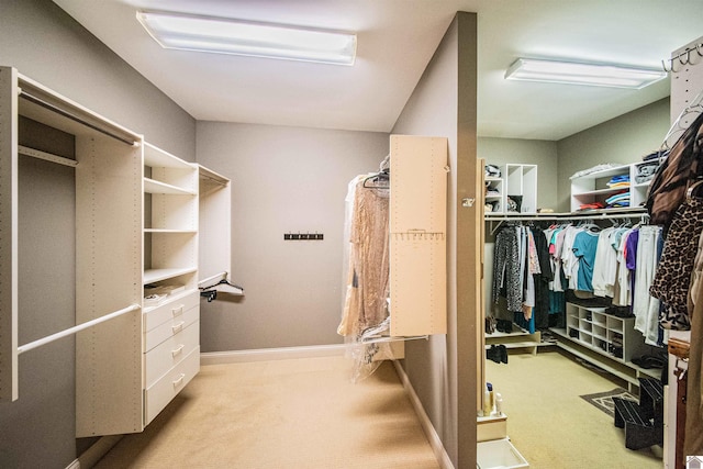 walk in closet featuring light carpet