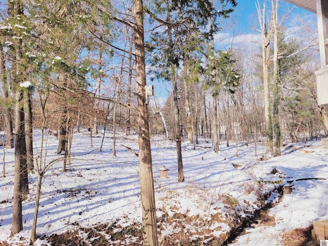 view of snow covered land