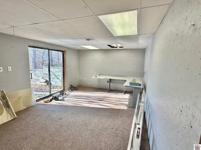 interior space with carpet and a drop ceiling