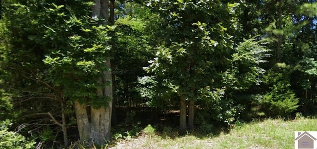 LOTS9697 Deercrest Ln, Murray KY, 42071 land for sale