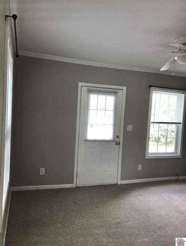 foyer entrance featuring ceiling fan, carpet, and ornamental molding