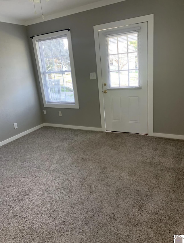 entryway with plenty of natural light and carpet floors