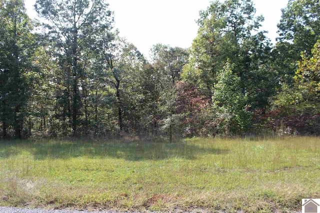 LOT175 Shine Ln, Murray, KY 42071