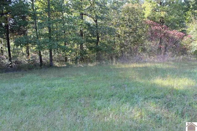 Listing photo 2 for LOT175 Shine Ln, Murray KY 42071