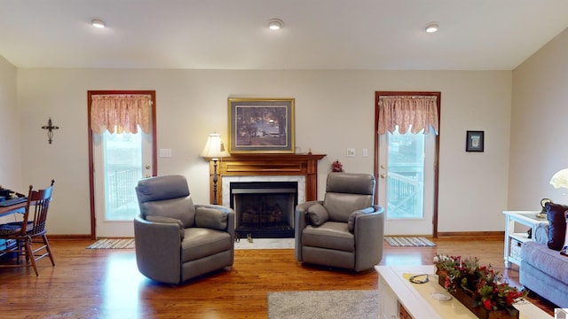 living room with hardwood / wood-style floors