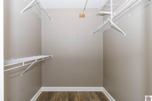 walk in closet with dark hardwood / wood-style flooring