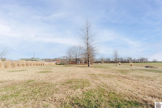 view of yard with a rural view