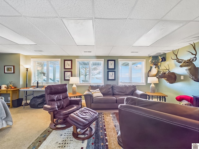 living room featuring a paneled ceiling, carpet flooring, and a healthy amount of sunlight