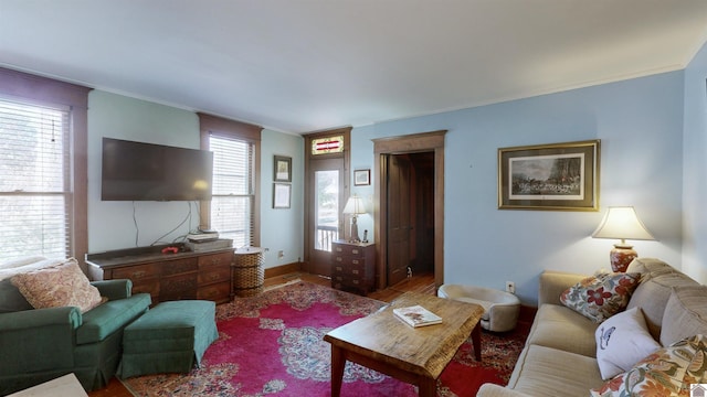 living room with wood-type flooring