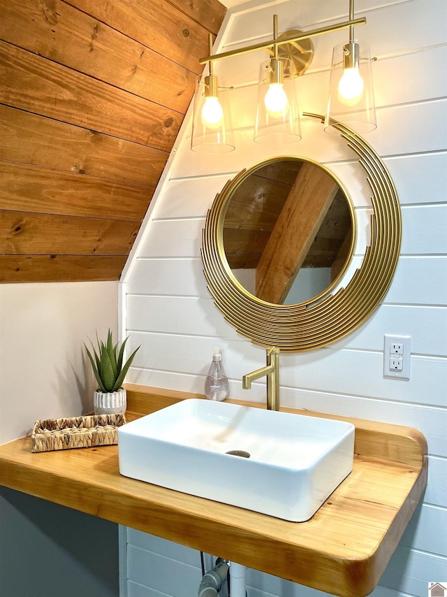 details with sink and wood walls