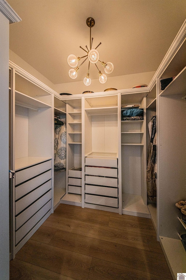 spacious closet with dark hardwood / wood-style floors and a notable chandelier