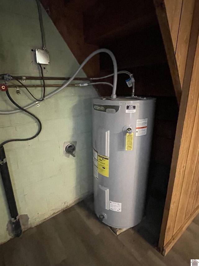 utility room with electric water heater