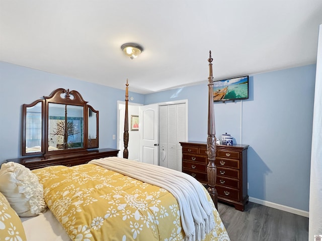 bedroom featuring a closet and dark wood-type flooring