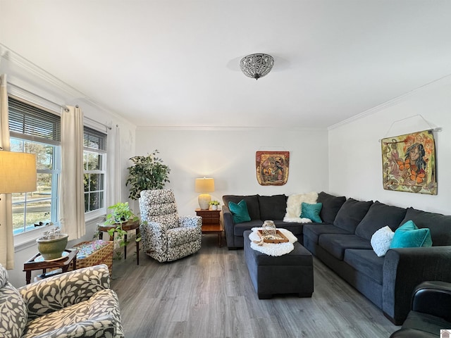 living room featuring hardwood / wood-style flooring and crown molding