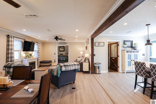 living room featuring a textured ceiling, ceiling fan, ornamental molding, and light hardwood / wood-style floors