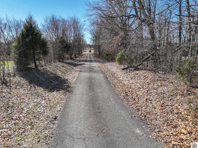 view of road