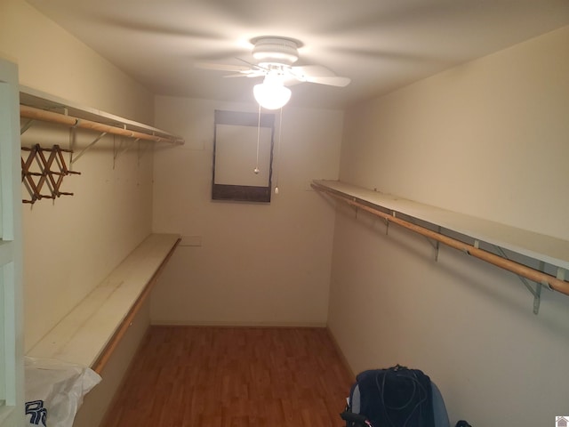 spacious closet featuring ceiling fan and dark wood-type flooring