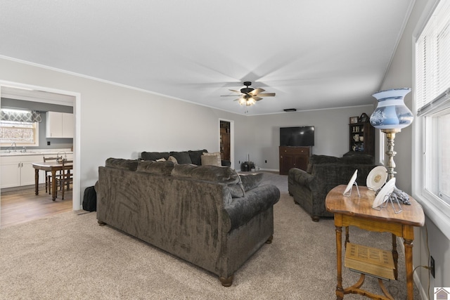 carpeted living room featuring ceiling fan, plenty of natural light, and sink