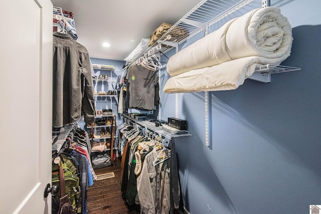 spacious closet with hardwood / wood-style floors