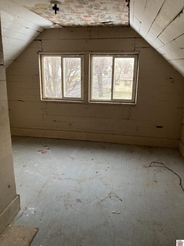 additional living space with lofted ceiling