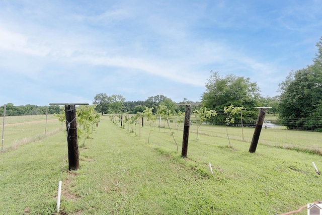 view of yard featuring a rural view