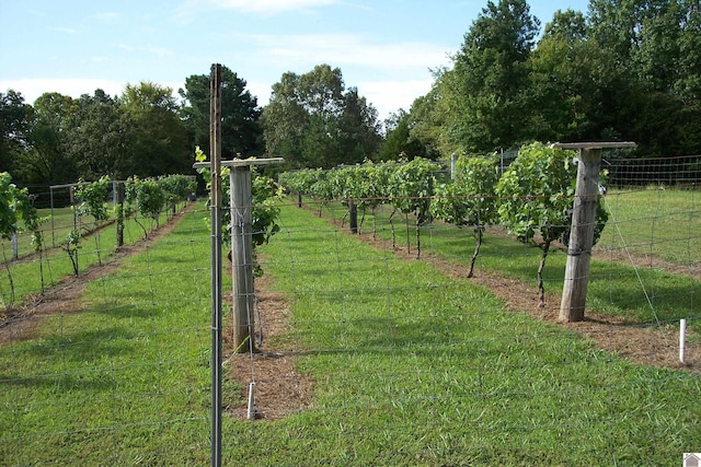 view of yard featuring a rural view