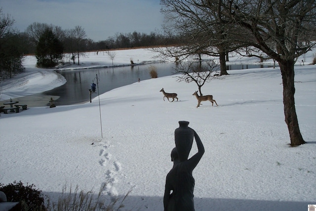 view of snowy yard