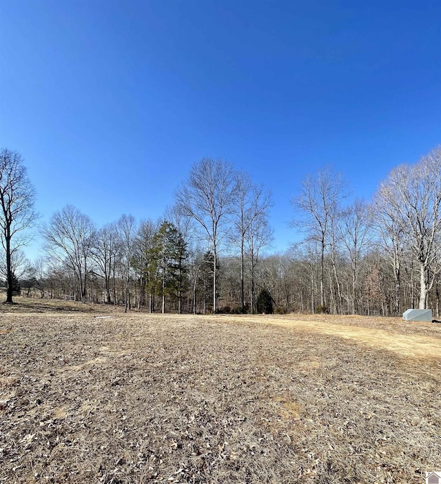 4339 Almo Shiloh Rd, Dexter KY, 42036 land for sale