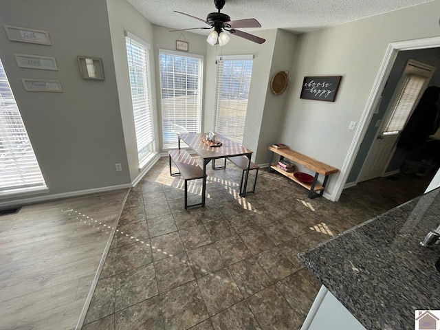 dining room featuring a healthy amount of sunlight, ceiling fan, and a textured ceiling