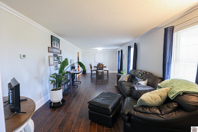 living room with crown molding, dark wood-type flooring, and a textured ceiling