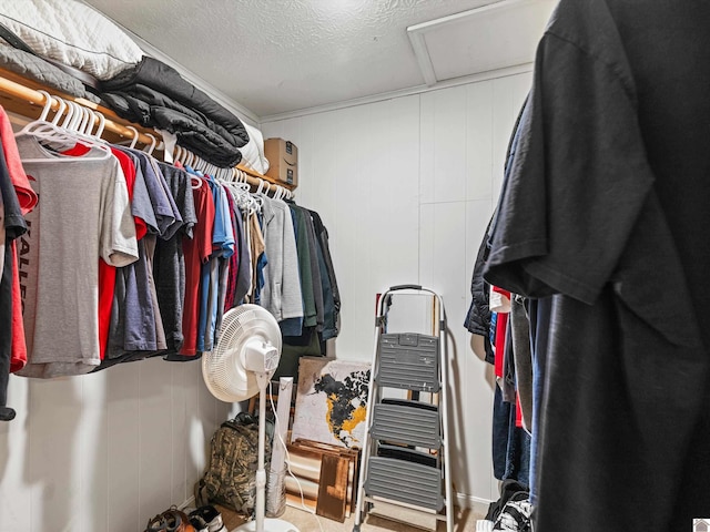 view of spacious closet