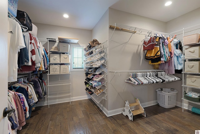 spacious closet featuring dark hardwood / wood-style flooring