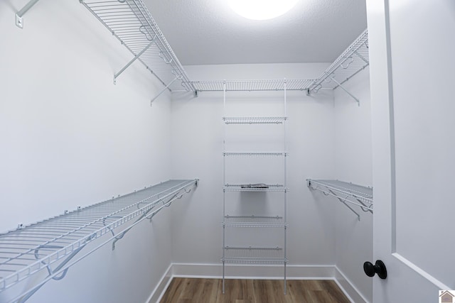 spacious closet with hardwood / wood-style flooring