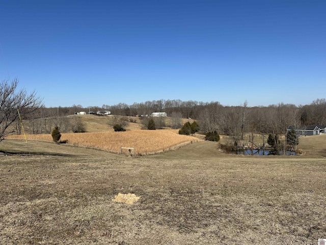 view of local wilderness featuring a rural view