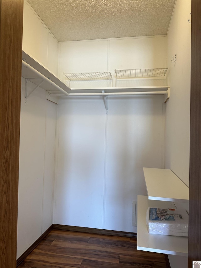 walk in closet featuring dark hardwood / wood-style floors